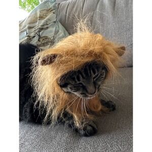 Pet Lion Mane Costume for Cats and Small Dogs Brown Faux Fur Wig with Ears